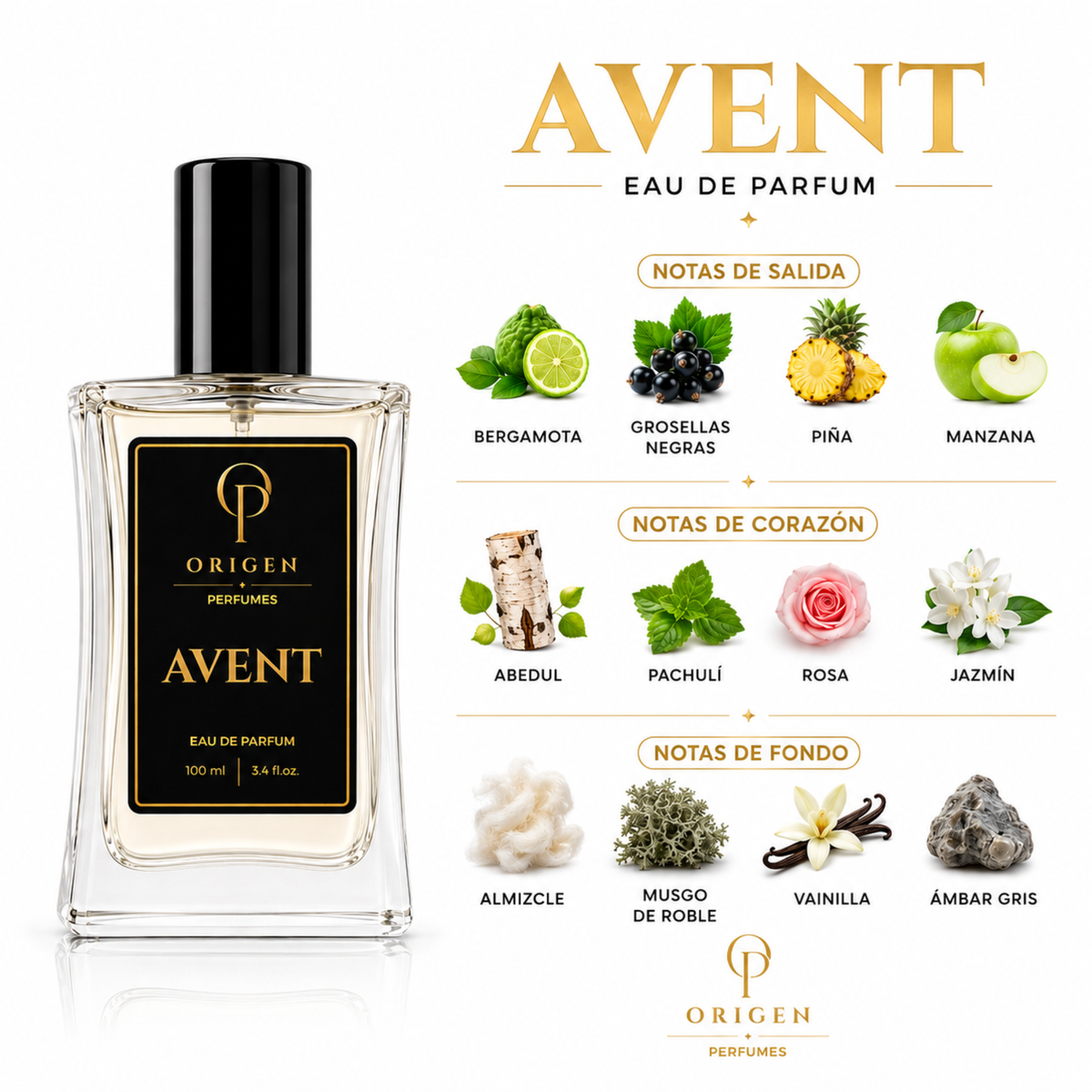 AVENT - Inspirado en Aventus · Creed
