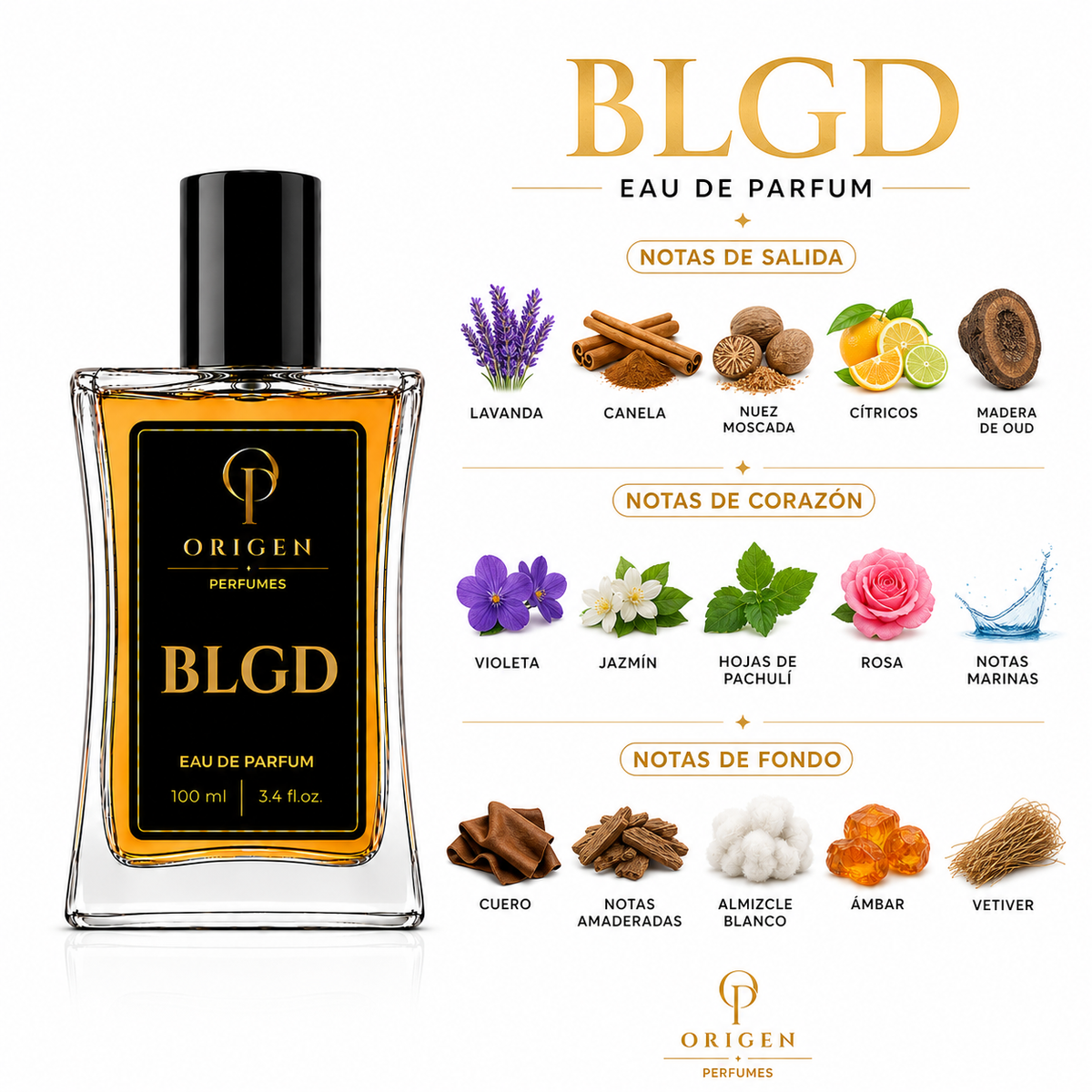 BLGD - Inspirado en Black Gold · Mancera
