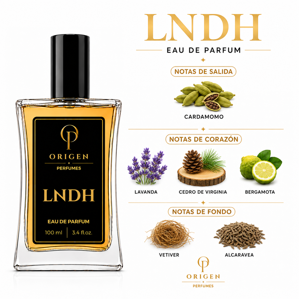 LNDH - Inspirado en La Nuit de l'Homme · YSL