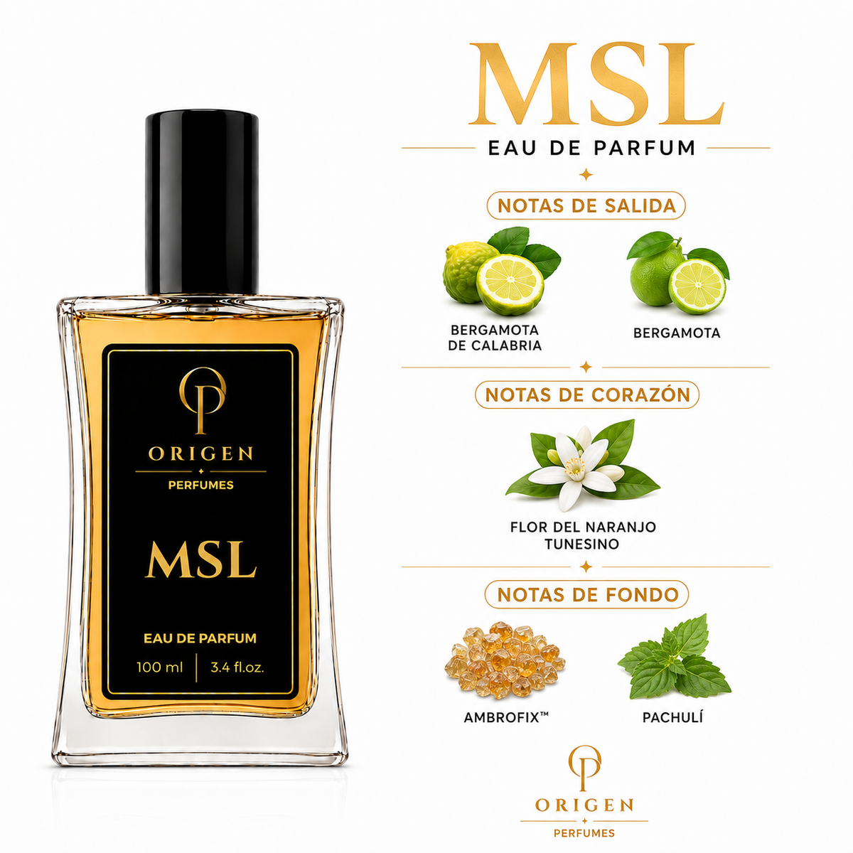 MSL - Inspirado en MYSLF · YSL