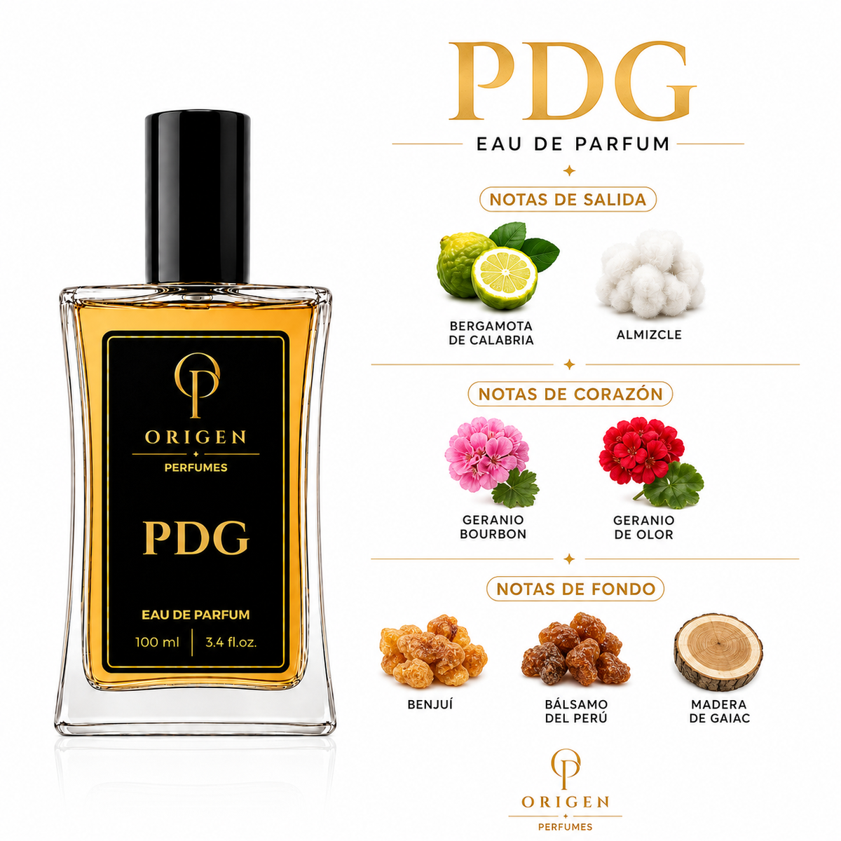 PDG - Inspirado en Paradigme · Prada
